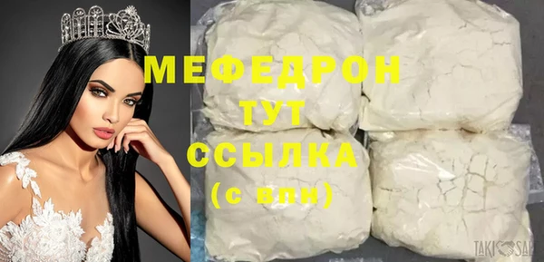 МДПВ Бородино
