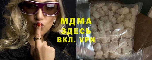 МДПВ Бородино