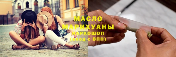 МДПВ Бородино