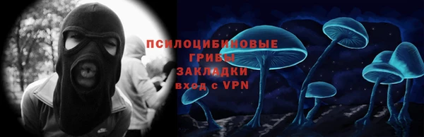 МДПВ Бородино