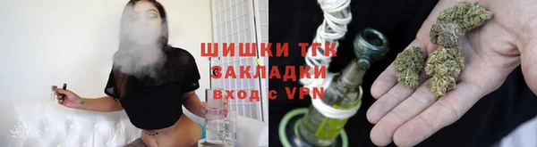 МДПВ Бородино