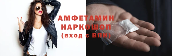 МДПВ Бородино