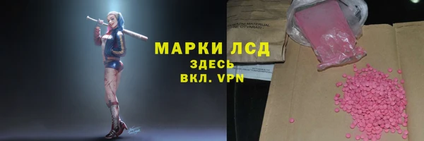 МДПВ Бородино
