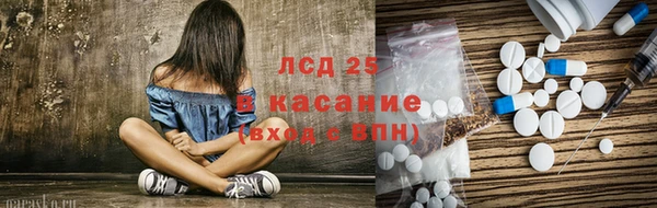 МДПВ Бородино