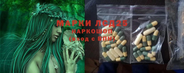 МДПВ Бородино