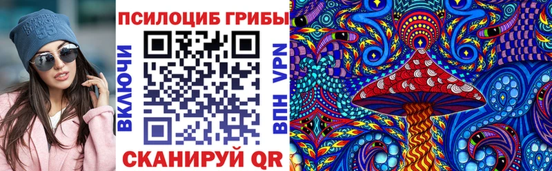 Купить где  Горбатов  Псилоцибиновые грибы мухоморы 